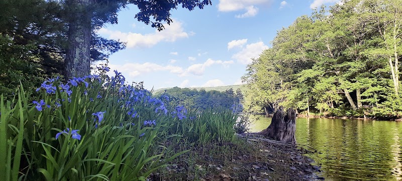Schenevus Lake Park - Schenevus, NY