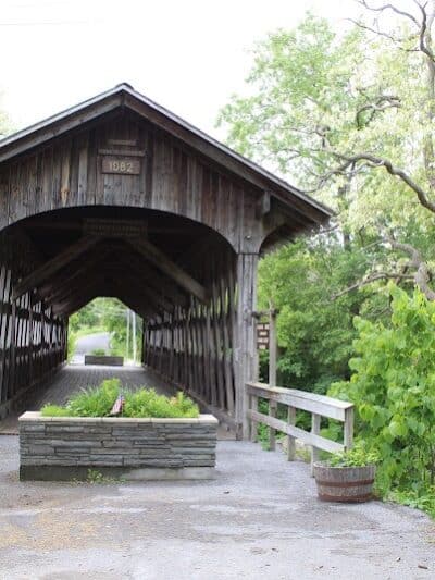 Lily Park - Schoharie, NY
