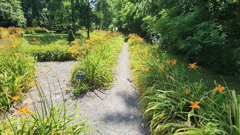Lily Park - Schoharie, NY
