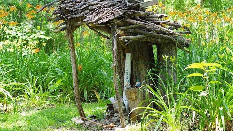 Lily Park - Schoharie, NY