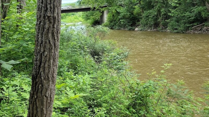 Lily Park - Schoharie, NY