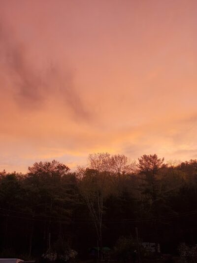 Twin Oaks - Schoharie, NY