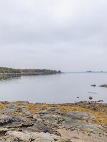 Seal Cove Picnic Area