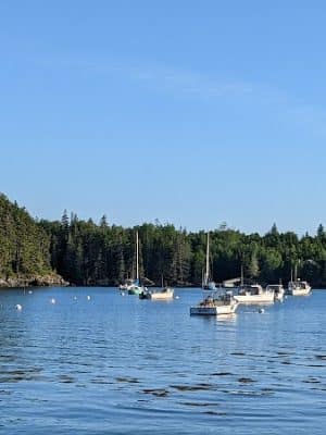 Seal Cove Picnic Area