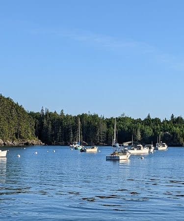 Seal Cove Picnic Area