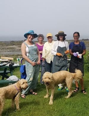 Seal Cove Picnic Area