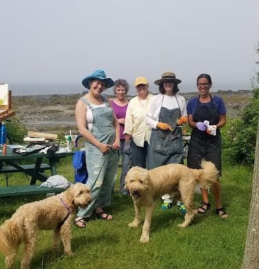 Seal Cove Picnic Area