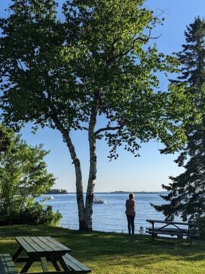 Seal Cove Picnic Area