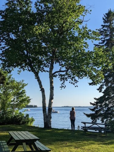 Seal Cove Picnic Area