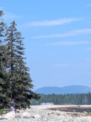 Seal Cove Picnic Area