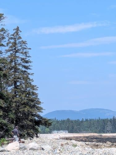 Seal Cove Picnic Area