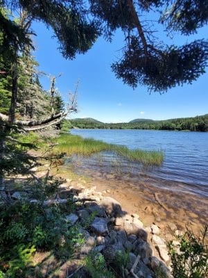 Little Long Pond