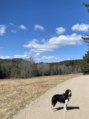 Little Long Pond
