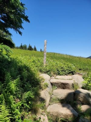 Little Long Pond