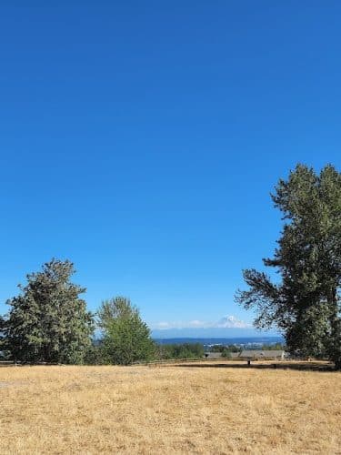 Grandview Off-Leash Dog Park - SeaTac, WA