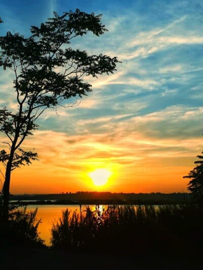 Laurel Hill Park - Secaucus, NJ