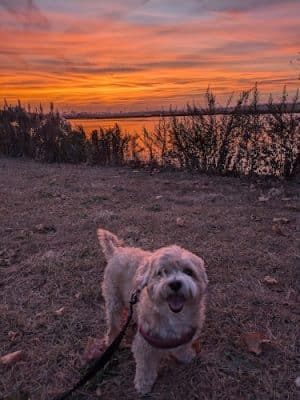 Laurel Hill Park