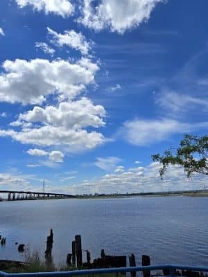 Laurel Hill Park