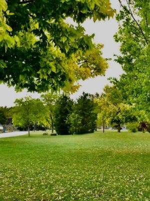 Laurel Hill Park