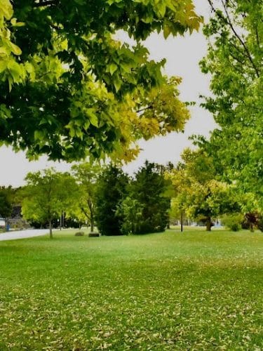 Laurel Hill Park