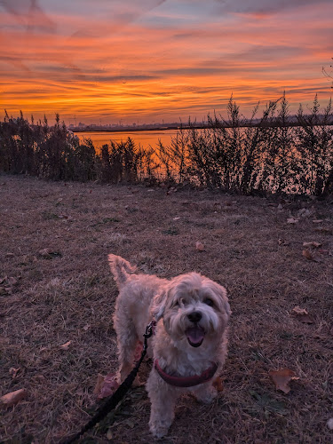 Laurel Hill Park
