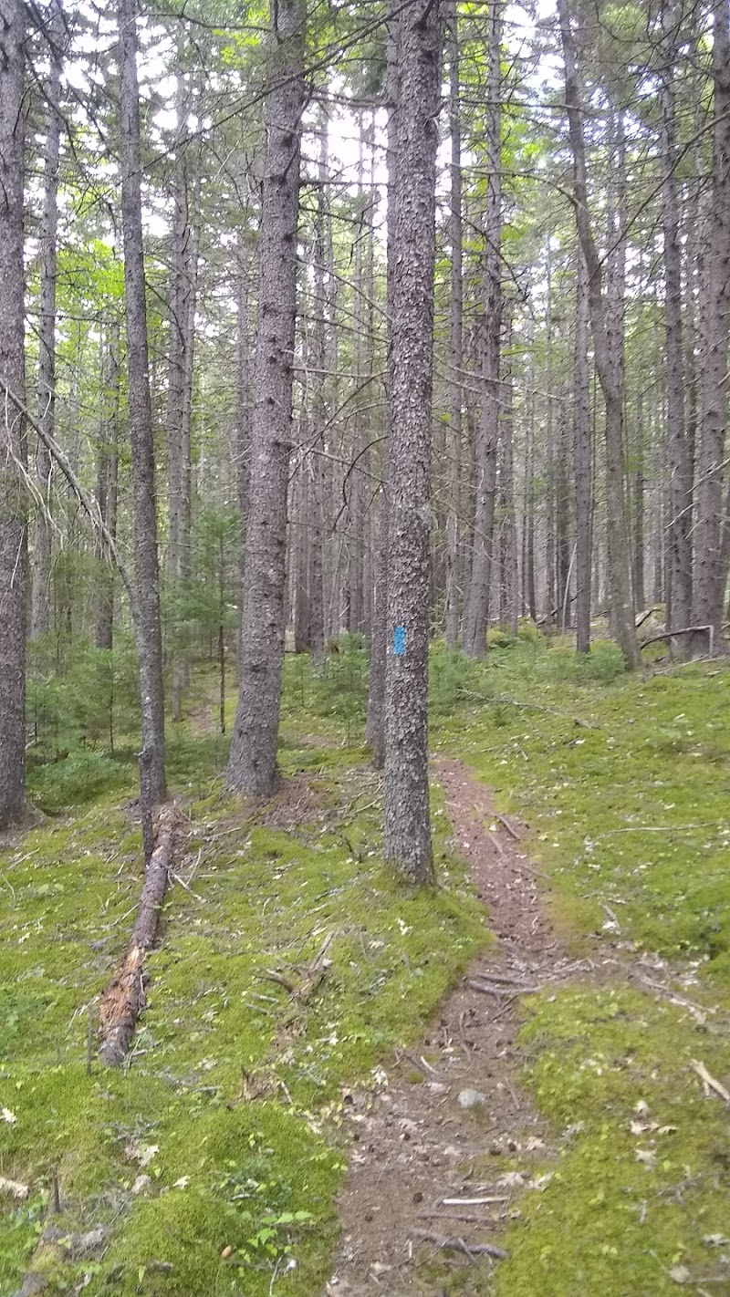 Caterpillar Hill and Cooper Farm- Blue Hill Heritage Trust - Sedgwick, ME