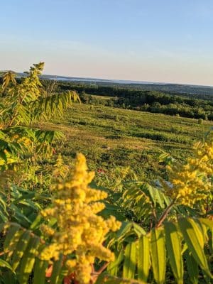 Caterpillar Hill and Cooper Farm- Blue Hill Heritage Trust