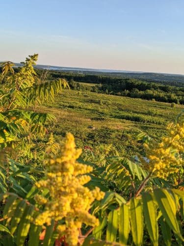 Caterpillar Hill and Cooper Farm- Blue Hill Heritage Trust