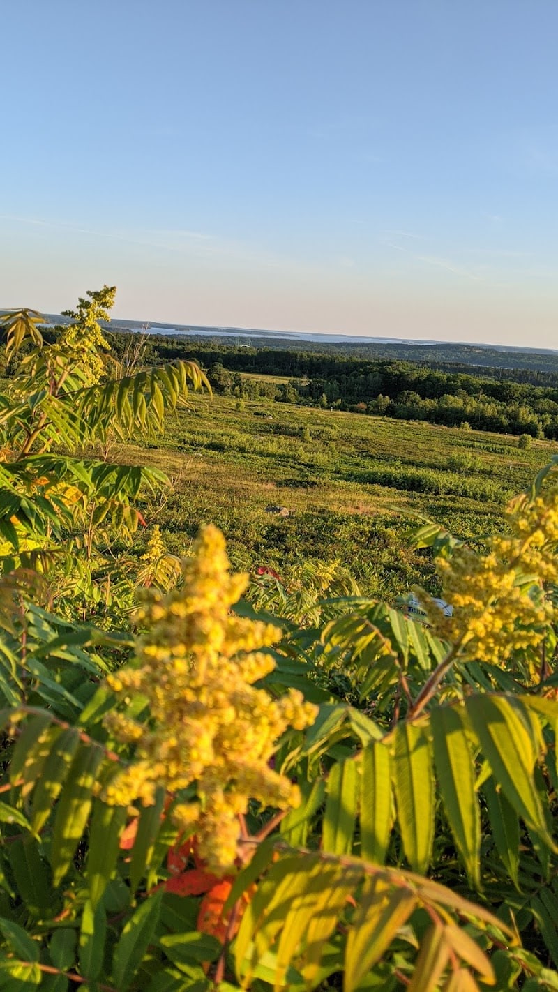 Caterpillar Hill and Cooper Farm- Blue Hill Heritage Trust - Sedgwick, ME