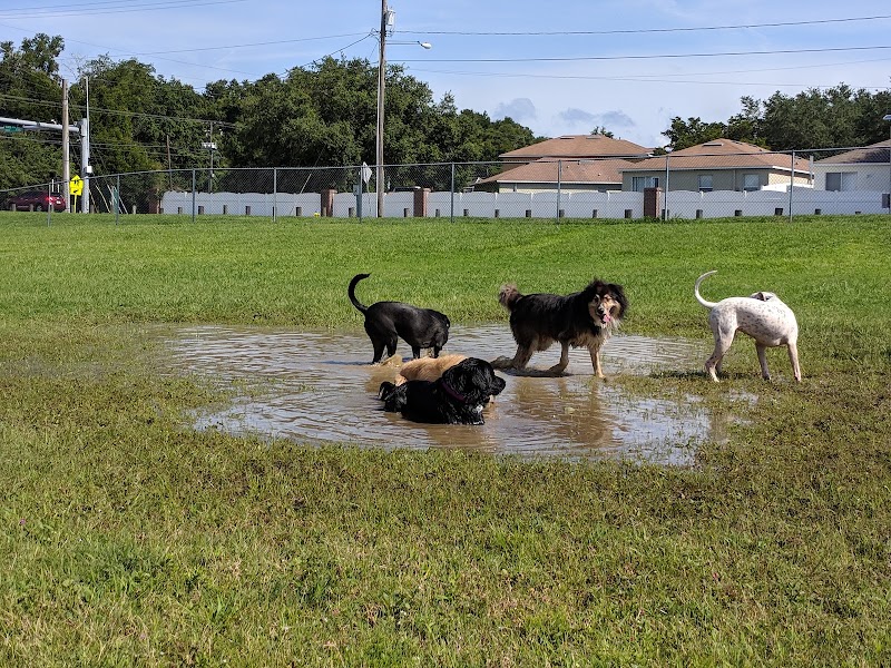 Mango Dog Park - Seffner, FL