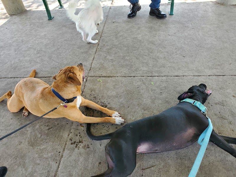 Mango Dog Park - Seffner, FL