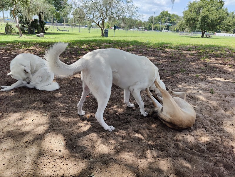 Mango Dog Park - Seffner, FL