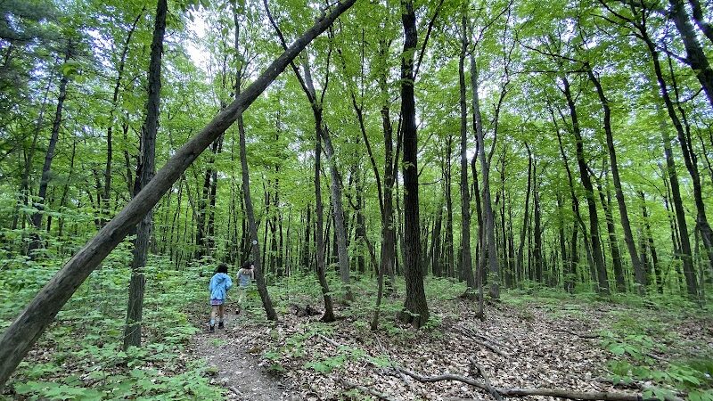 Hollyhock Hollow Sanctuary - Selkirk, NY