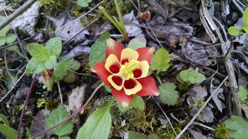 Hollyhock Hollow Sanctuary - Selkirk, NY
