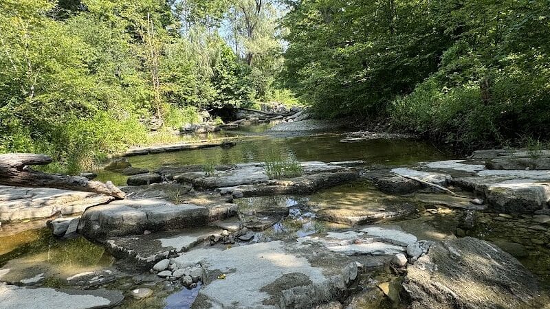 Hollyhock Hollow Sanctuary - Selkirk, NY