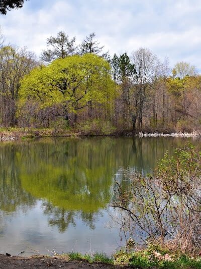 Holt Preserve - Selkirk, NY