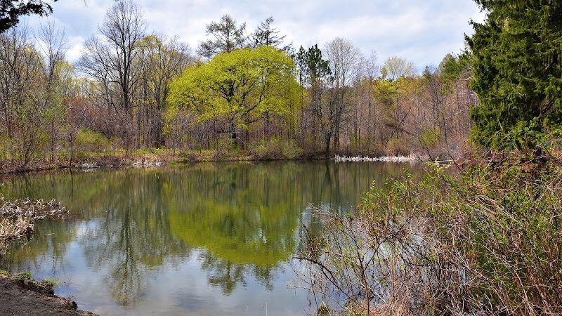 Holt Preserve - Selkirk, NY