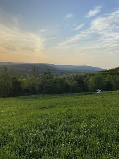 Holt Preserve - Selkirk, NY