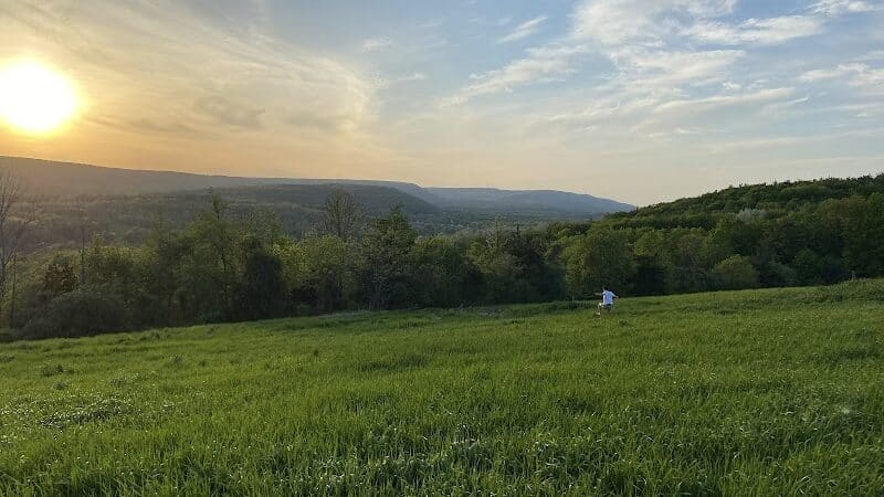 Holt Preserve - Selkirk, NY