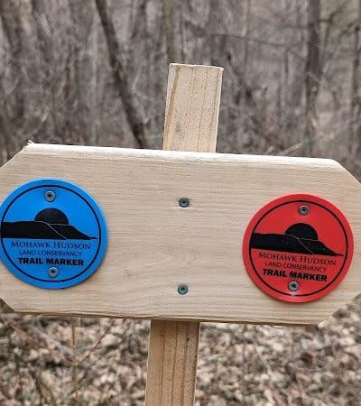 Holt Preserve - Selkirk, NY