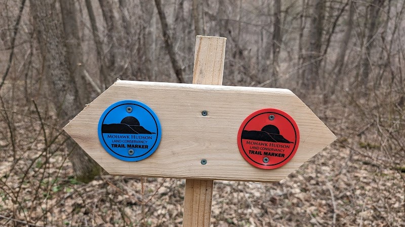 Holt Preserve - Selkirk, NY