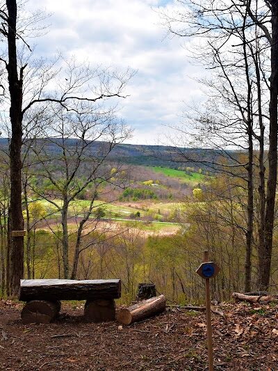 Holt Preserve - Selkirk, NY