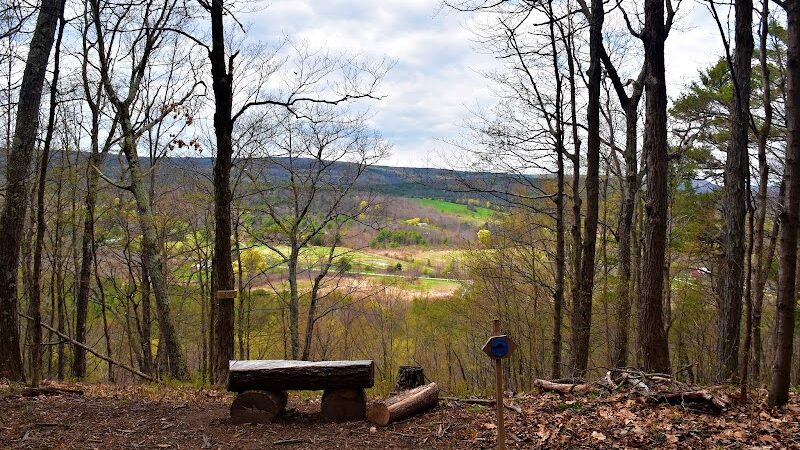 Holt Preserve - Selkirk, NY