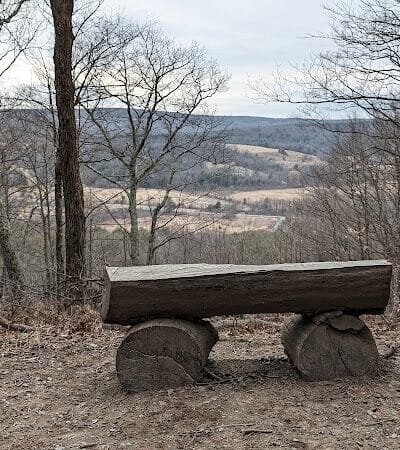 Holt Preserve - Selkirk, NY