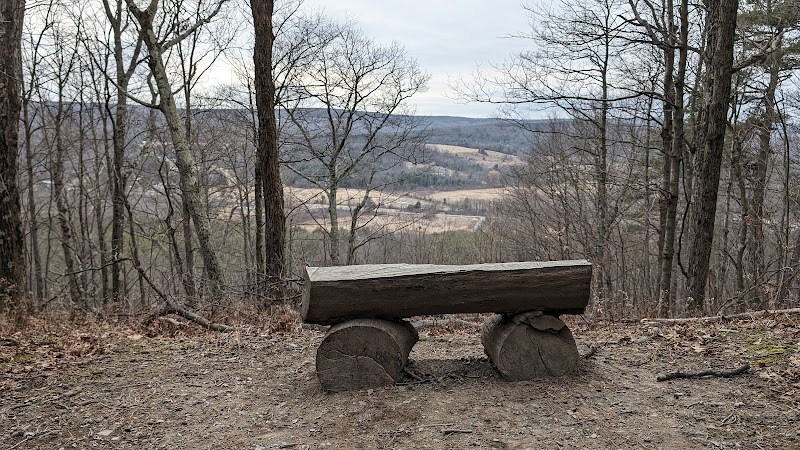 Holt Preserve - Selkirk, NY