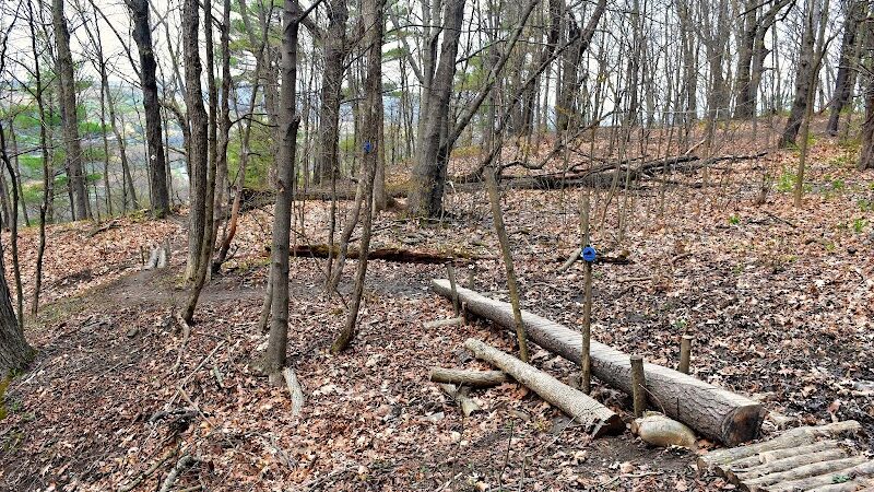 Holt Preserve - Selkirk, NY