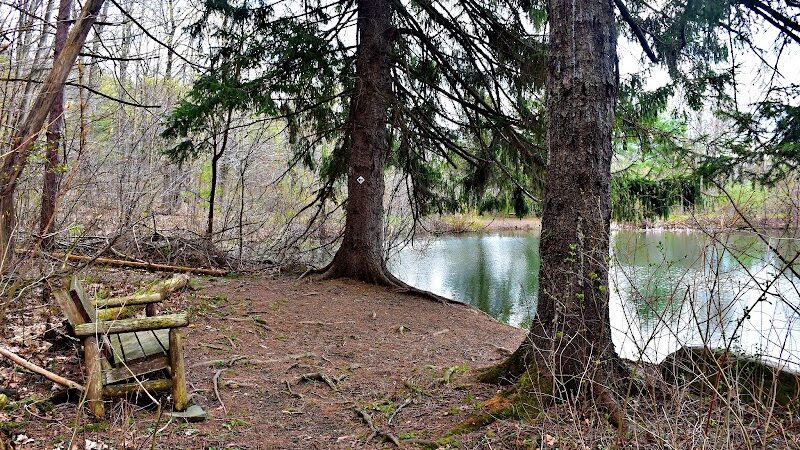 Holt Preserve - Selkirk, NY