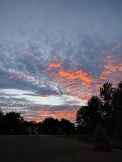 Maple Ridge Park - Selkirk, NY