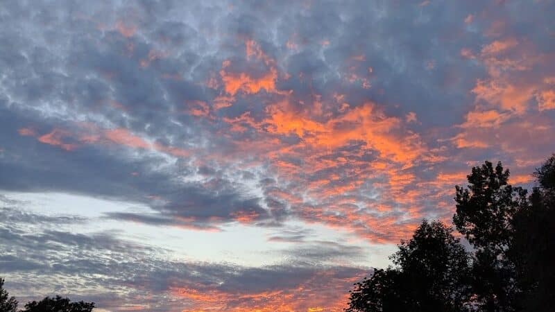 Maple Ridge Park - Selkirk, NY
