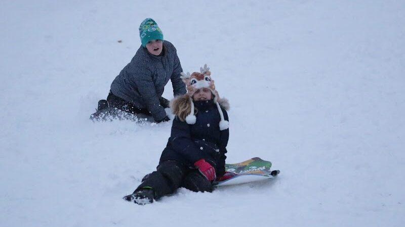 Maple Ridge Park - Selkirk, NY